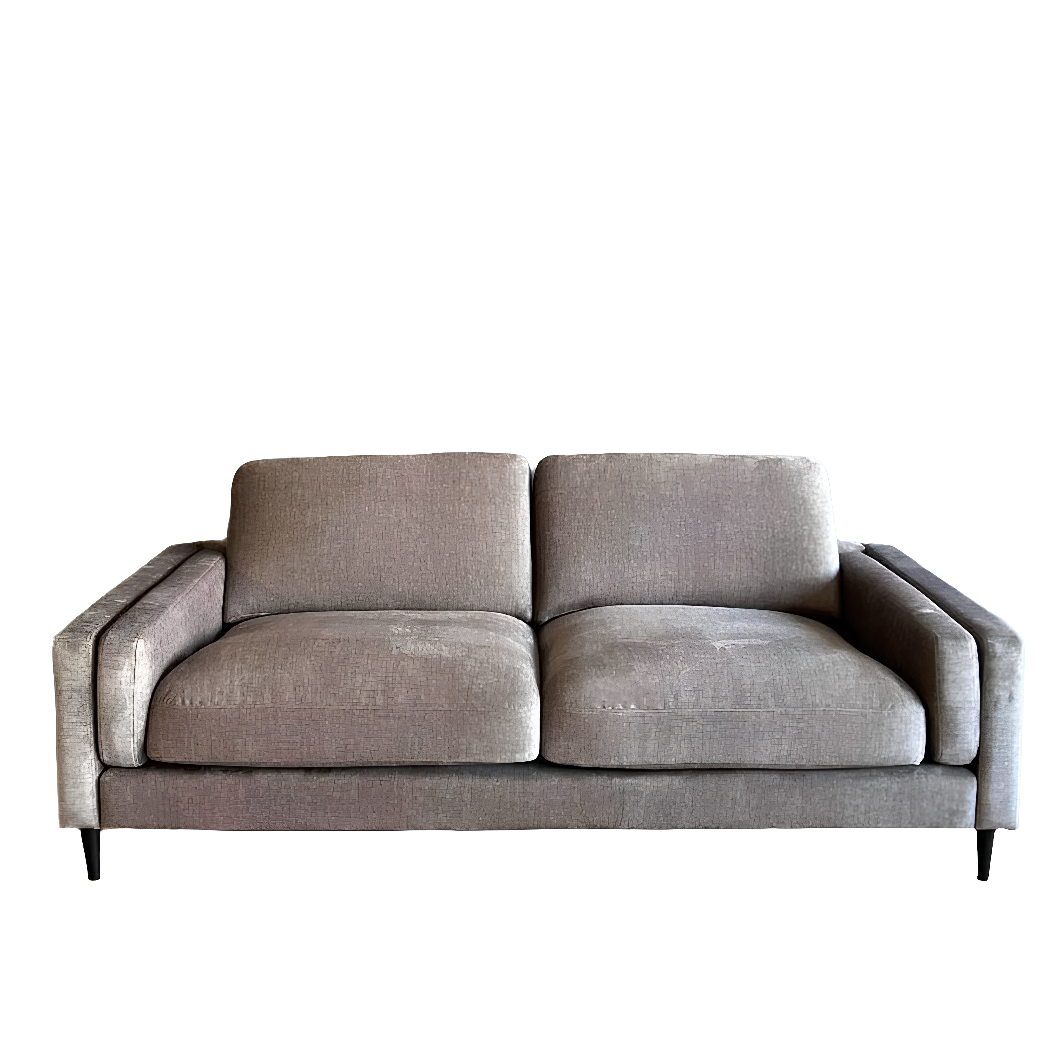 Adele Sofa with Two Seat Cushions and Two Back Cushions and Black Legs