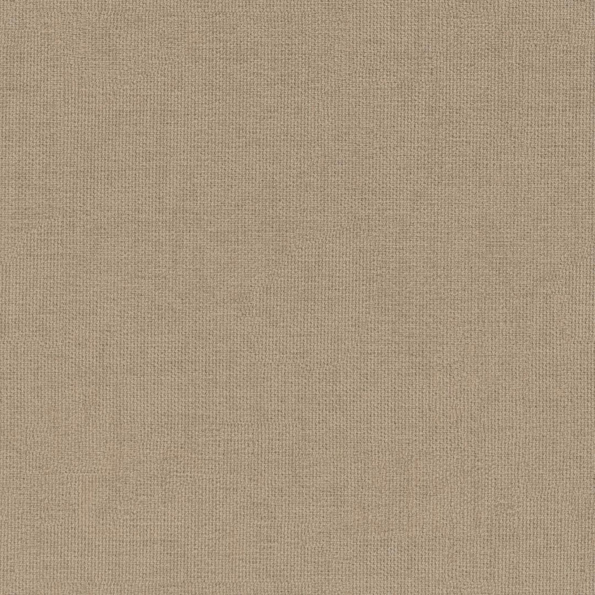 Dining Chair Sophia - Beige