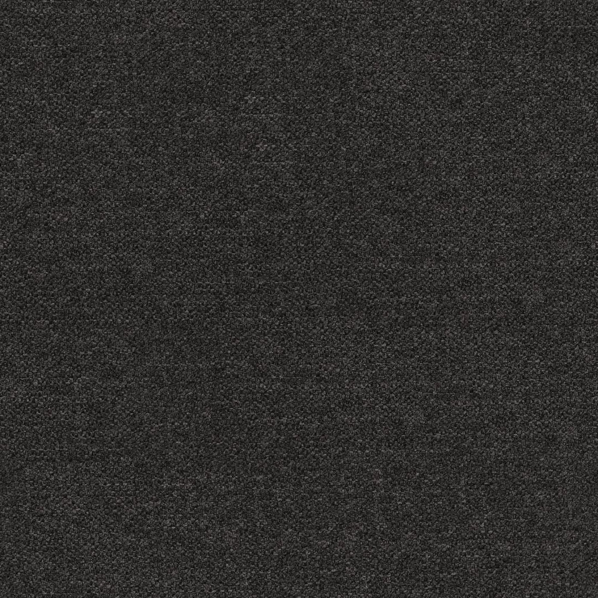 Dining Chair Darlene - Anthracite