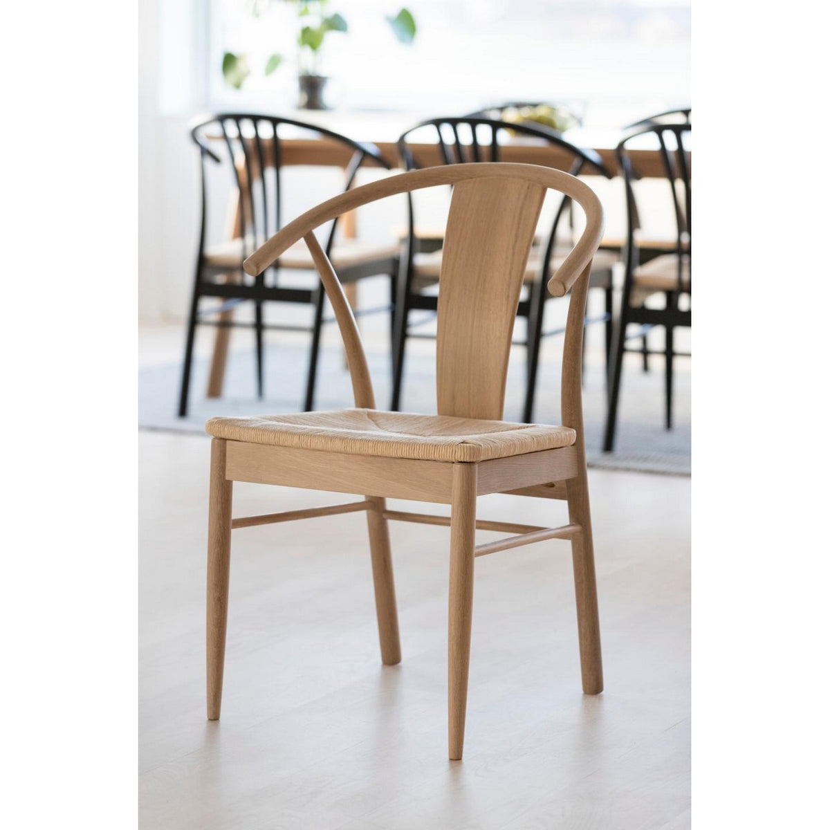 Dining Chair Janik - Beige