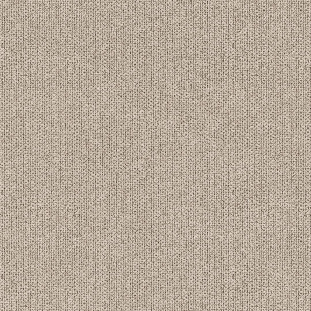 Dining Chair Carrie - Grey